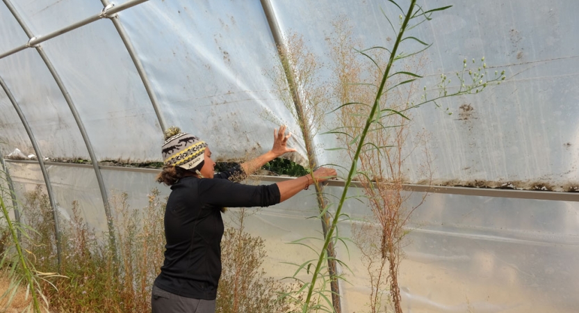 a person works to stabilize a green house during a service project on an outward bound course for bipoc